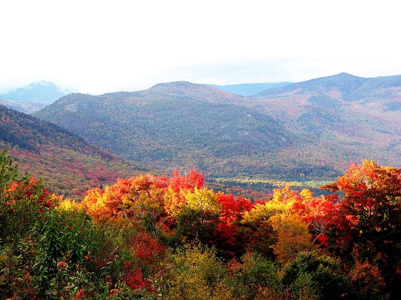  Description English: the forests in new hampshire in autumn Date	9 October 2009 Source	Own work Author	Someone35 (CC BY-SA 3.0)