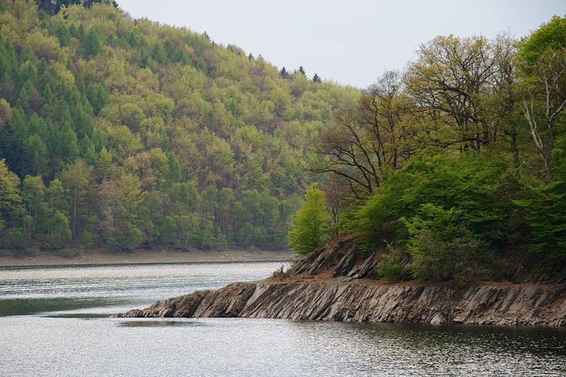 Description Deutsch: Nationalpark Eifel, Rursee Date 22 May 2014, 23:14:09 Source Own work Author Sjokolade (CC BY-SA 3.0)