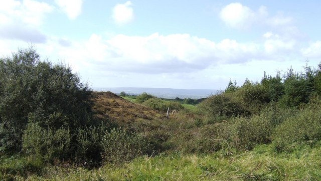 Description English: View towards the Burren Through a gap in the forest near Ballinruan, a glimpse of the famous hills of western Co. Clare. Date	25 September 2007 Source	From geograph.org.uk Author	Jonathan Billinger (CC BY-SA 2.0)