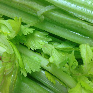 Celery - CC0 Public Domain - Pixabay