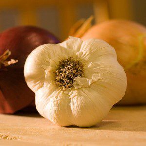 Onions ad Garlic are medicine - CC0 Public Domain - Pixabay