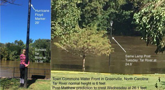 Tar River Water Fr in Greenville, NC 