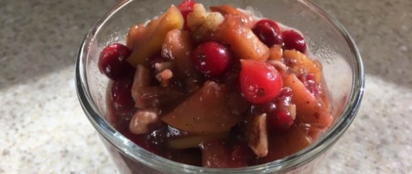 Dish of Apple Cranberry Compote by Hero nMichelle