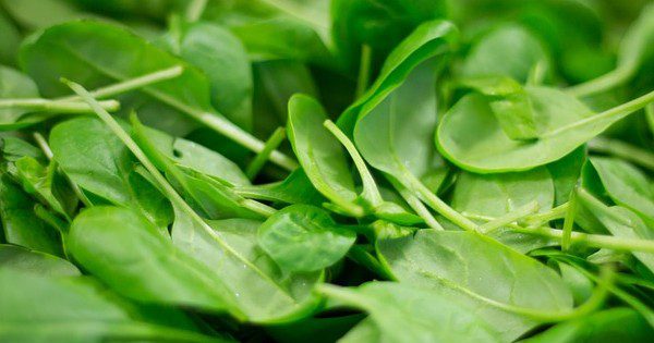 Spinach CC0 Public Domain - Pixabay