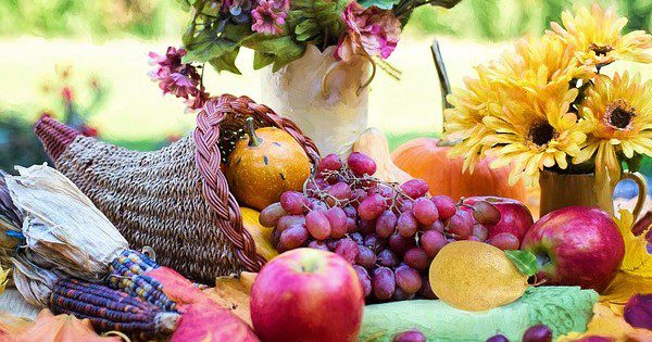 CC0 Public Domain - Pixabay