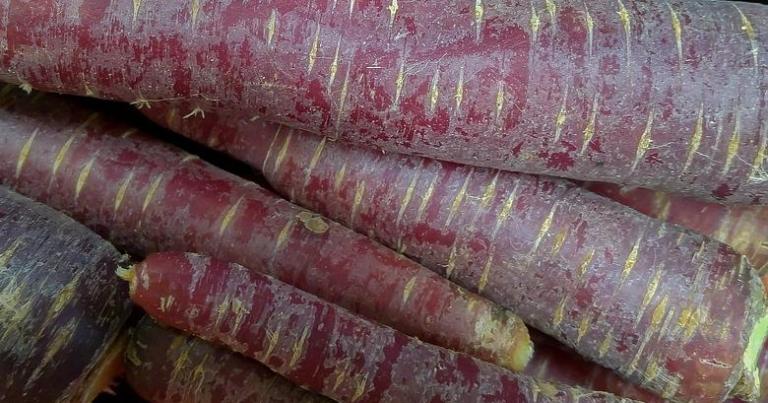 purple carrots