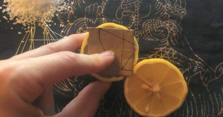 Folded Intention Paper placed between Lemon Halves - Photo by Heron Michelle