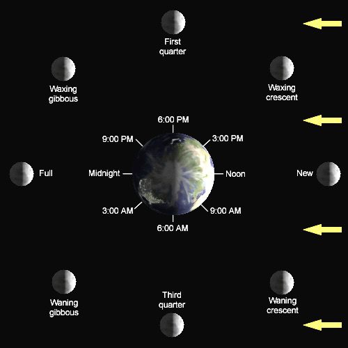 Diagram of the Lunar Phases