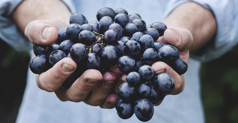 Lammas Group Ritual: Sharing the Grapes of Gratitude - Witch on Fire