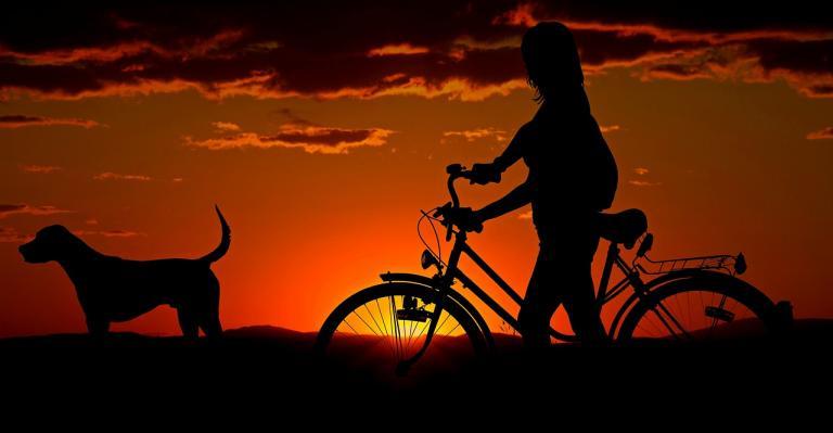 Child, bicycle, dog at sunset