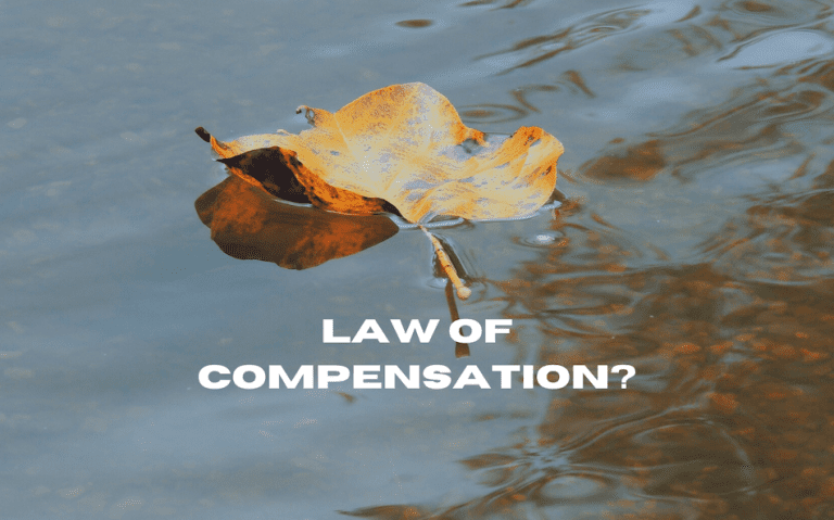 Leaf floating on the water with text that reads Law of Compensation?