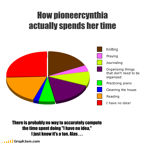 graph how pc spends her time