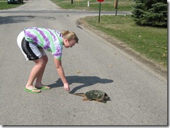 Turtle Time 005crop