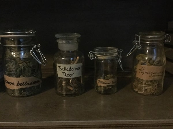 Some of my traditional witch's herbs. Grown and harvested by me.