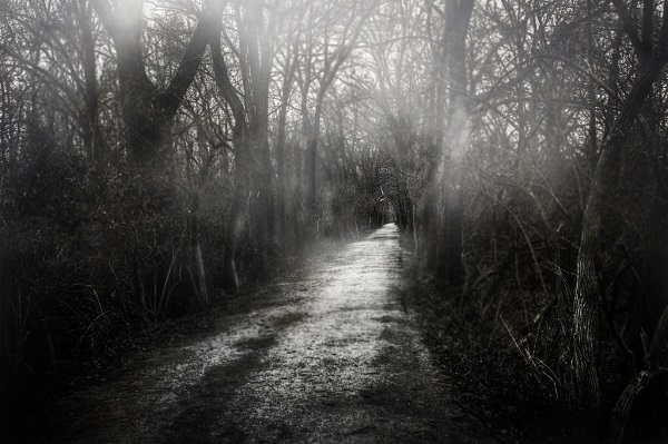 A Dark Path. Bob Dilworth. Flickr Free License Image.