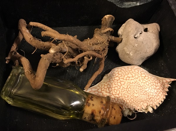 Arcane Artifacts. Belladonna root, Hagstone, Crab Shell. Photo courtesy of author.