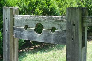 pillory-51540_1920