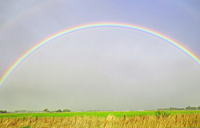 Rainbow