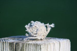 IMG_1714