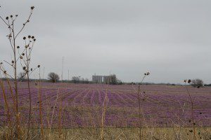 img_7777