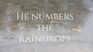 He numbers the raindrops