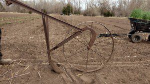 old cultivator