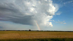 2017 rainbow, storm, wheat
