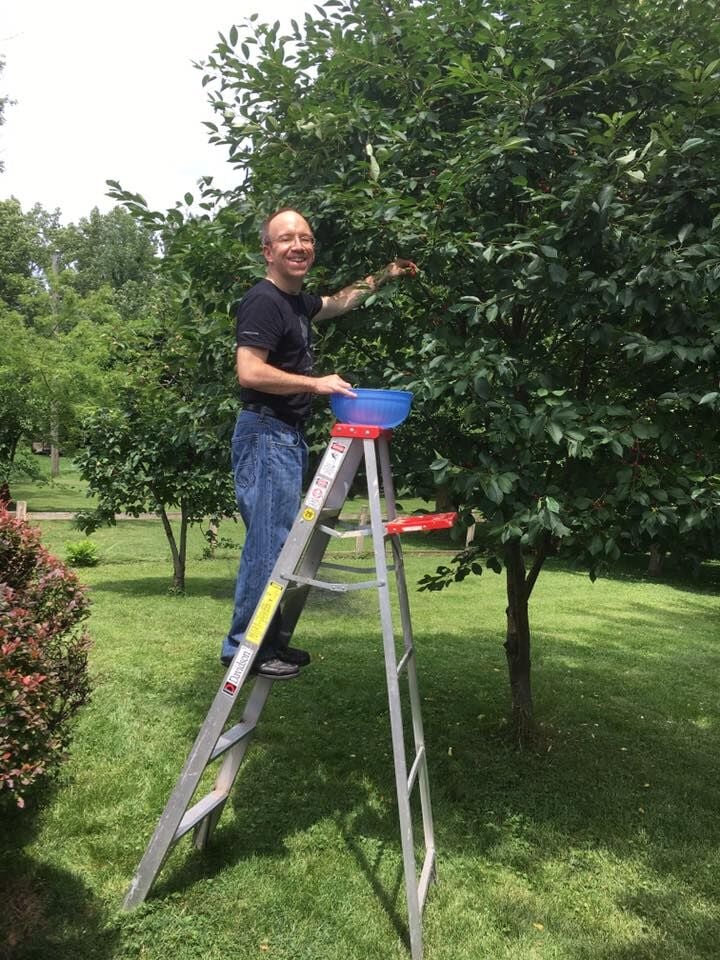 Cherry picking 2017-06-17 18.39.03