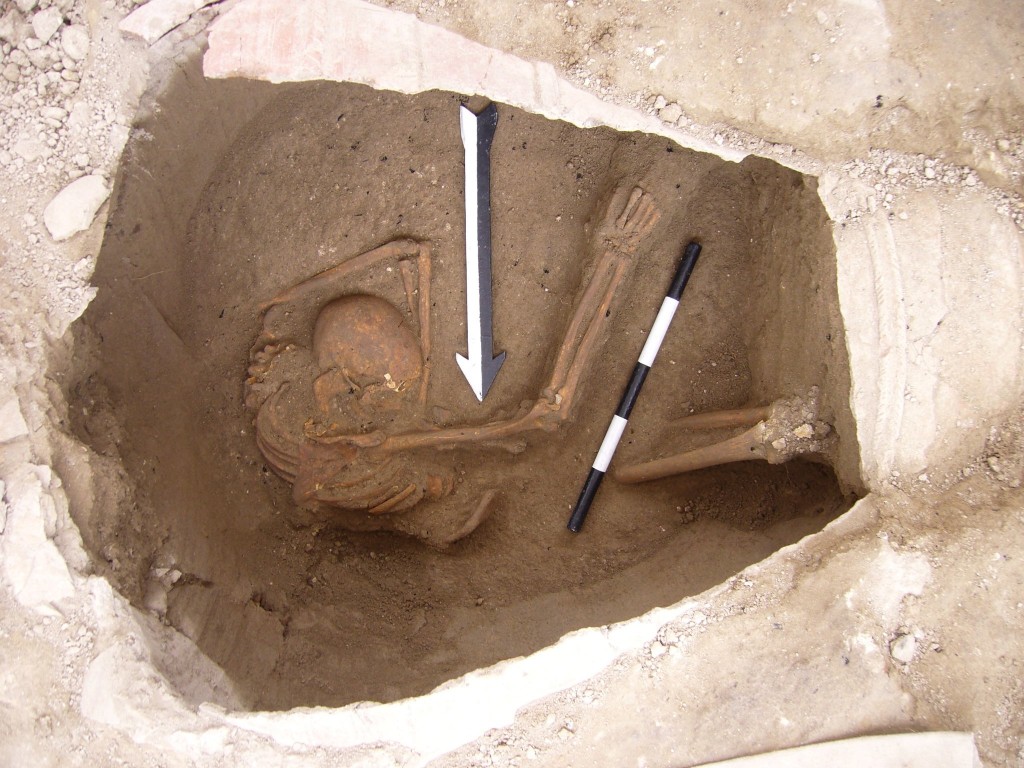 Claude Doumet-Serhal/Sidon Excavation