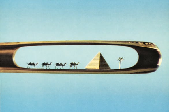 Camels In The Eye Of A Needle James Mcgrath