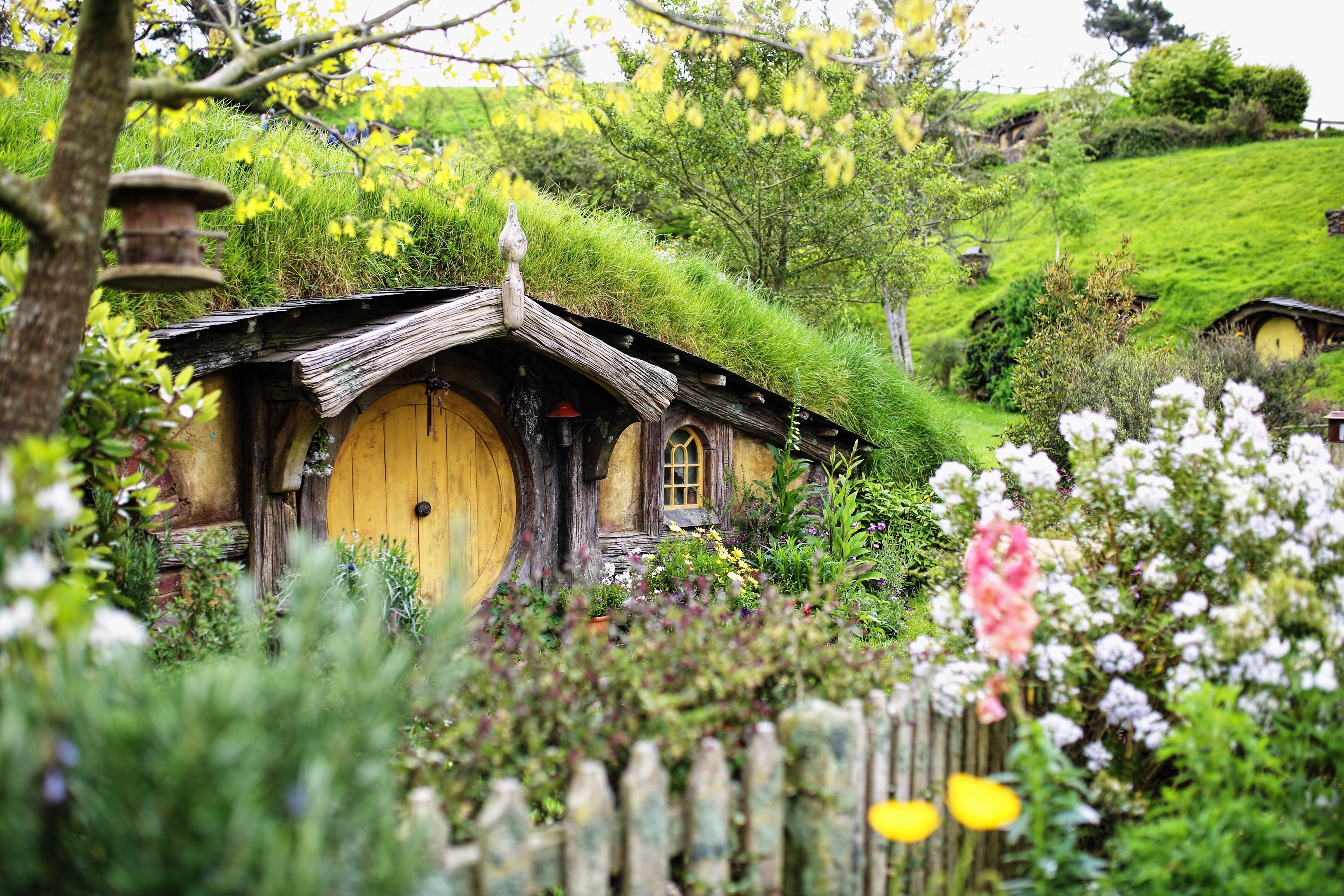 The free high-resolution photo of flower, hut, village, cottage, garden, tourism, new zealand, rural area, matamata, outdoor structure, ring shot, the hobby, the shire, taken with an unknown camera 02/23 2017 The image is released free of copyrights under Creative Commons CC0.