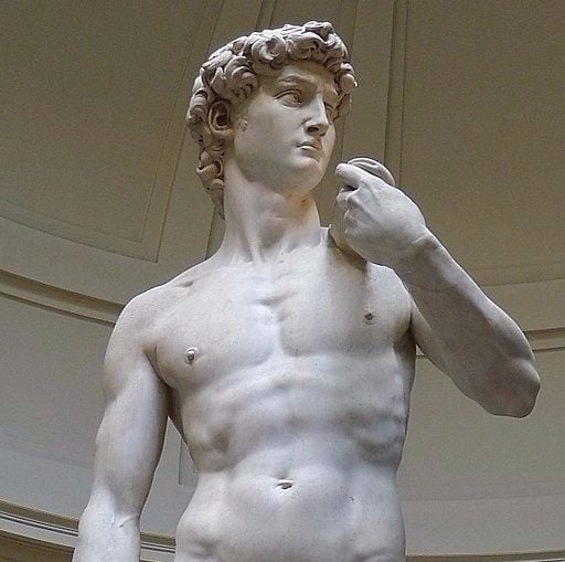 Image of David by Michelangelo a perfect specimen of masculinity. 