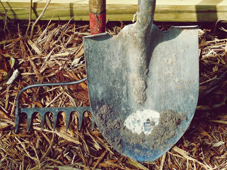 A dirty shovel and a landscape rake, well used. 