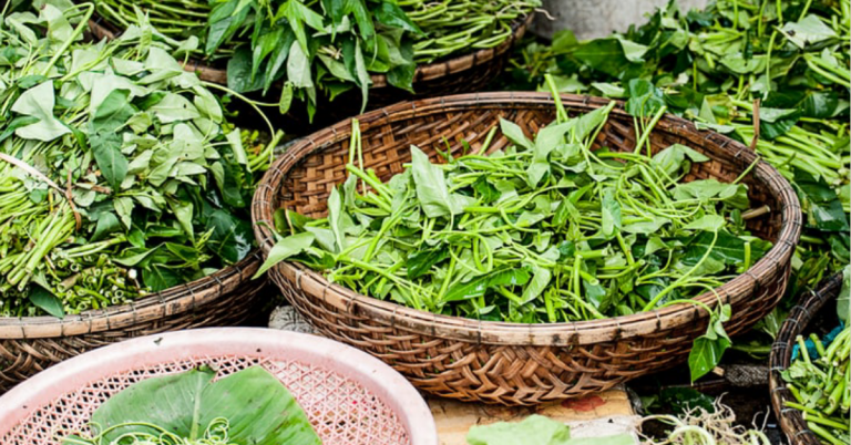 Woven rattan baskets filled with green herbs and surrounded by bundles of gathered herbs