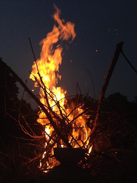 A fire swirls upward, thin twigs and brush crisscross underneath and a bowl in the foreground is backlit by the fire.