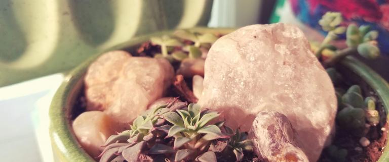 Tiny succulent plants in a green pot with raw quartz stones and gravel surrounding them.