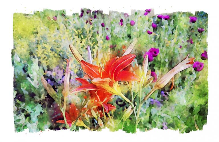 A digital watercolor painting of a daylily spirit with pink poppies and mustard in the background