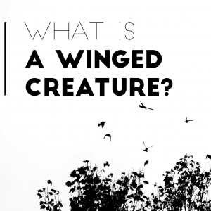 what is a winged creature