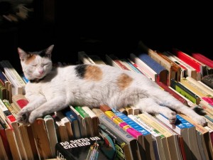 cat book