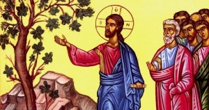 Jesus Cursing the Fig Tree