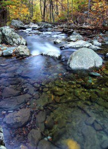 Water