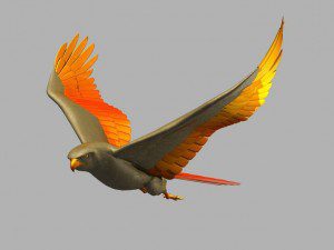 bright wings