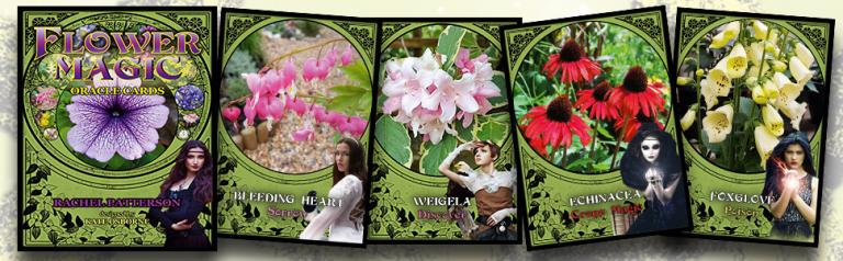 flower magic oracle cards rachel patterson