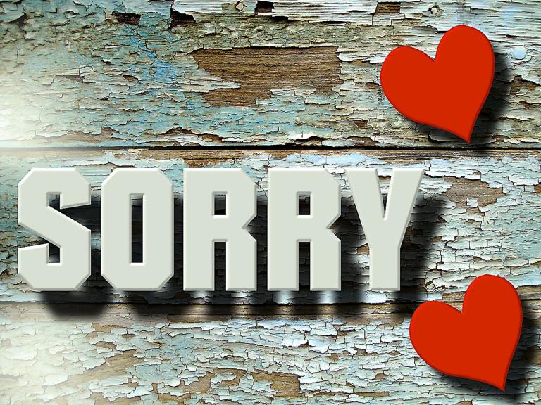Just Say Sorry: 5 Steps to Becoming a Better Muslim Ally | NbAMuslims