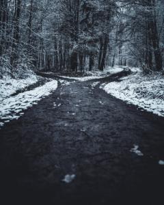Fork in the Road