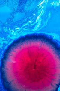 Science Watch: White Blood Cells + Acid = Stem Cells