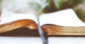 5 Ways to Grow Using the Bible