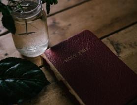 Developing Christian Kindness