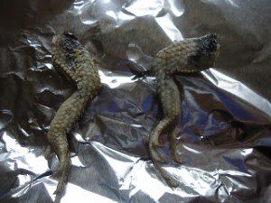 FrogsLegs