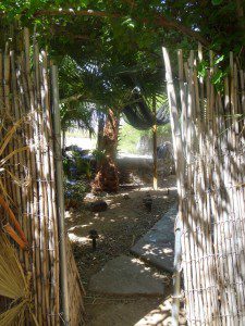 Image11